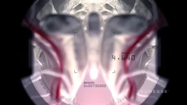 Рецепты красоты и молодости ZEN BODI™. смотреть онлайн