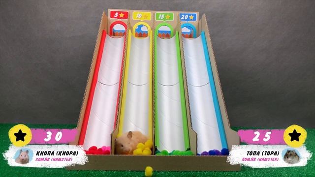 Выбери правильную горку | Челлендж для хомяков Топы и Кнопы | DIY смотреть онлайн