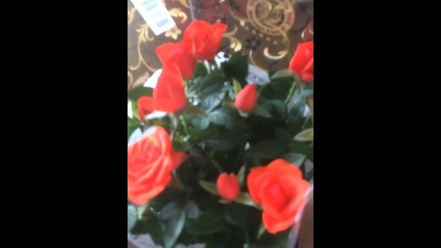 Пришел заказ AVON, мой новый цветок смотреть онлайн