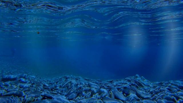 cat games for cats only - fish game for cats - 1 hour смотреть онлайн