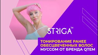 Тонирование ранее обесцвеченных волос муссом от бренда QTEM. Школа Парикмахеров STRIGA ™ смотреть онлайн