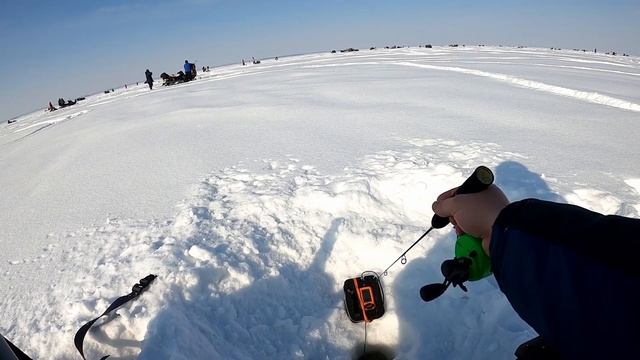 БЛЕСНА ловит всегда! Рыбалка на судака в начале весны со льда! смотреть онлайн