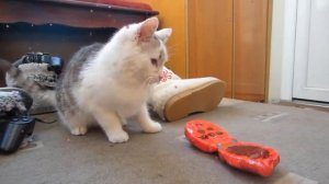 А ну-ка Давай-ка Леди Баг и Супер Кот [Опенинг]