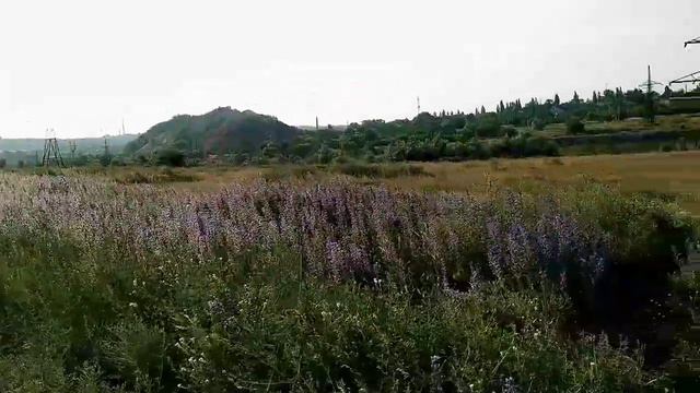 ВЛОГ: 🌼картошка с крыльями на мангале🌼у нас зацвела юкка🥰красивая природа возле нашего дома🌿 смотреть онлайн