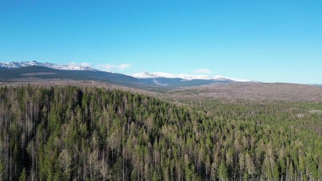 2 ая серия. И опять Конжак не пустил. посетили "Колпаки" и декорации к фильму "Сердце Пармы" смотреть онлайн