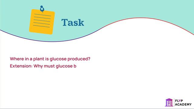 Uses of Glucose from Photosynthesis | GCSE Biology - Bioenergetics | Flyp Academy смотреть онлайн