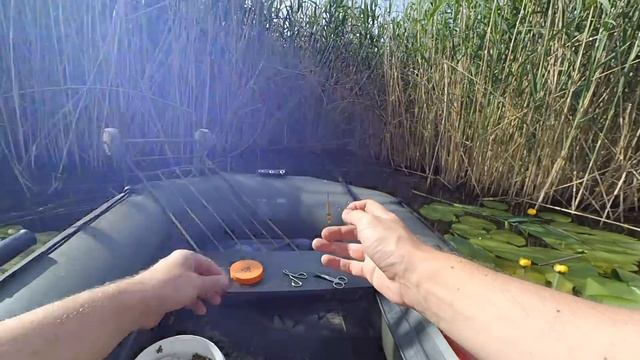 Ловля поплавочной удочкой в камыше I Дерзкий карась смотреть онлайн