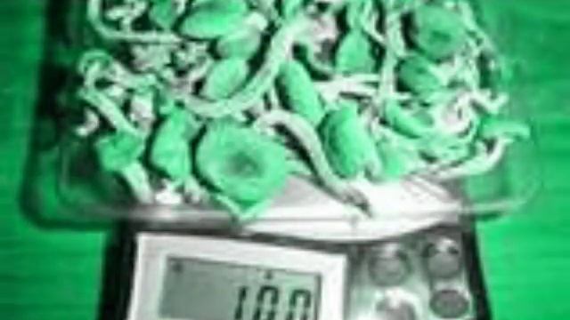 Eminem - Mushrooms (My Fault) смотреть онлайн