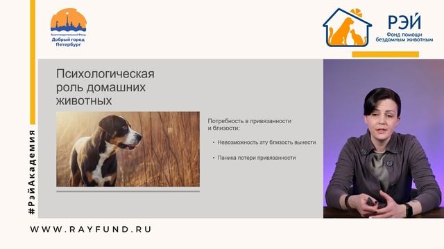 Психологическая роль домашних животных смотреть онлайн
