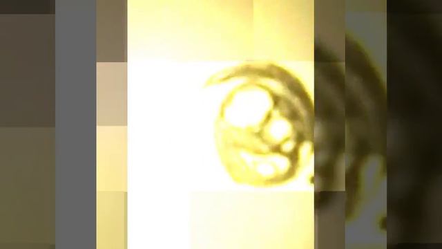 Как рисовать аниме для начинающих ♥♥♪♪♦♦♠♠♣♣ смотреть онлайн