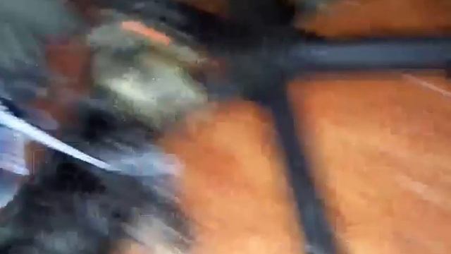 Я кормить у нельсон 28 января 2016 год.