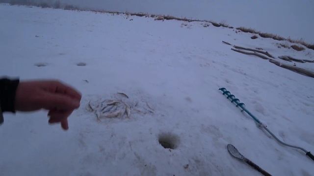 Приехал за окунем, наловил чебаков. Вечерний клёв.#зимняярыбалка#рыбалка #рыбалканаоби смотреть онлайн