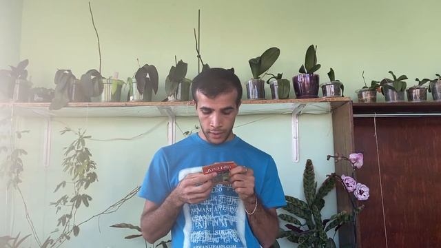 Обработка орхидей 3 смотреть онлайн