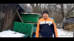 ИЗ КАКОГО МАТЕРИАЛА  ВЫБРАТЬ УЛЕЙ. ДЕРЕВО, ПЕНОПЛАСТ или ПЕНОПОЛИУРЕТАН