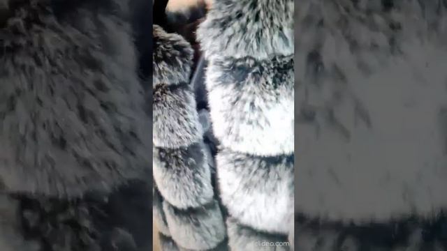 Теплая шубка—жилет -трансформер С ТЕПЛЫМИ РУКАВАМИ 90 см смотреть онлайн