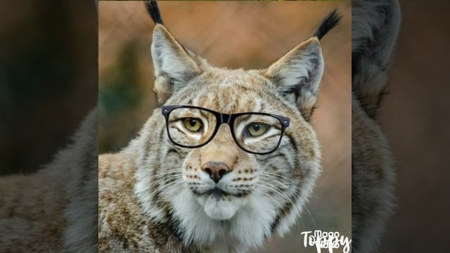 Занятие по Развитию речи 