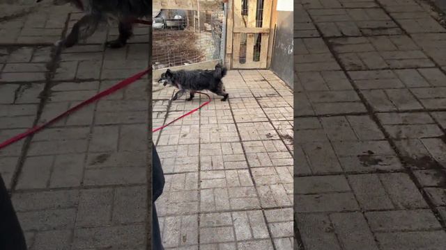 Сегодня он нашел свое счастье 🥰 смотреть онлайн