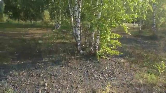 участок у реки Полуденная смотреть онлайн