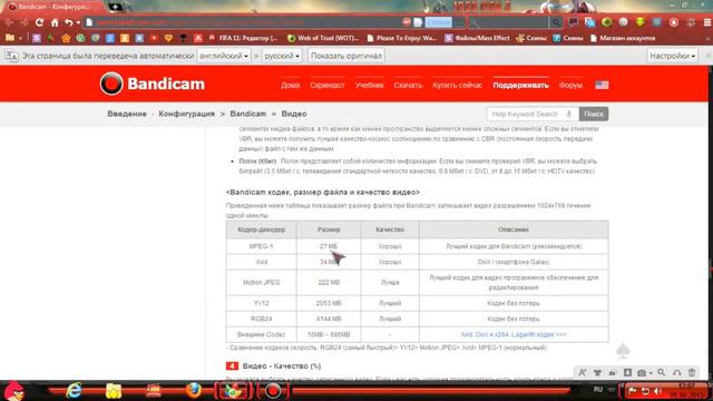 Как правильно настроить Bandicam (обзор Bandicam). смотреть онлайн