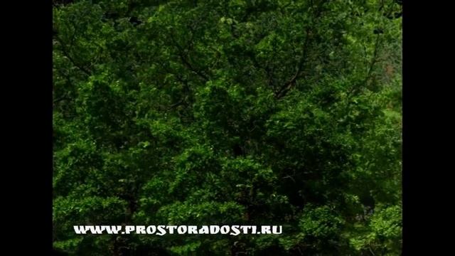 Ловля рыбы на Иртыше. смотреть онлайн