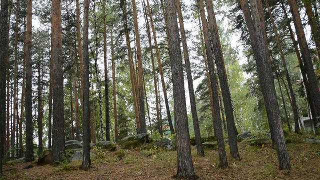 Конфликт между родителем и ребенком смотреть онлайн