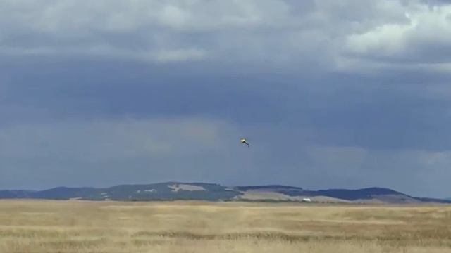 1 23 Круг назад с бочками К9 0 смотреть онлайн