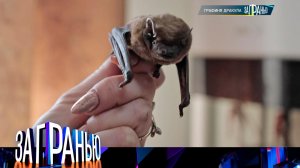 «За гранью»: «Графиня Дракула» | Выпуск от 1 февраля 2023 года