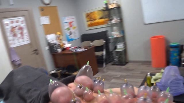 Моя любимая работа. Висцеральная терапия по методике Огулова. смотреть онлайн