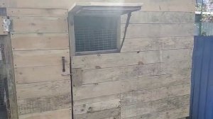 Построили сарай для уток и кур.