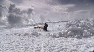 Снежный король - The Ice King