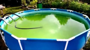 Почему зеленеет вода в бассейне?