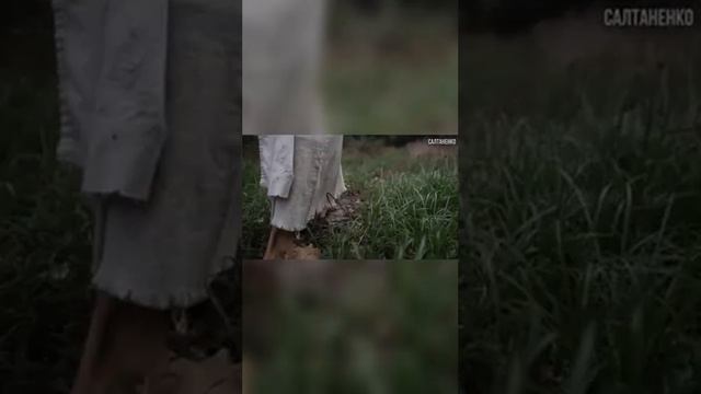 Библия - Слово Божие смотреть онлайн