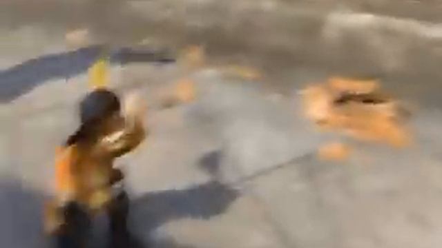 Police brutality (Favorite parts Shrek 2) смотреть онлайн