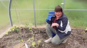 Как правильно поливать растения на участке