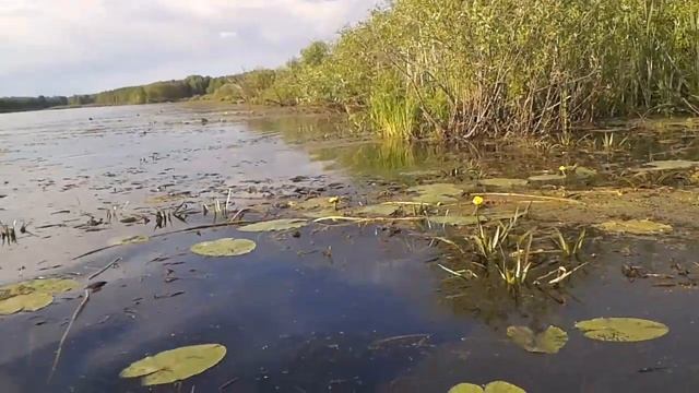 Юный блоггер Виктория.Лодка часть 2.