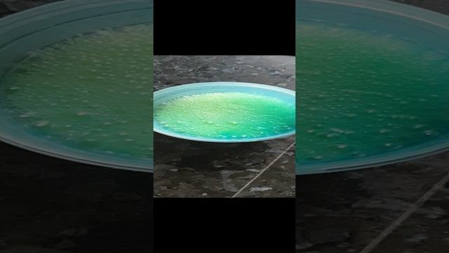 Сейчас что-то будет?