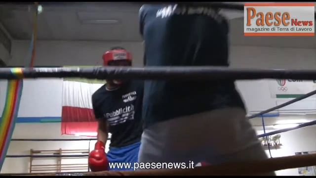 Speciale Pugilistica Matesina