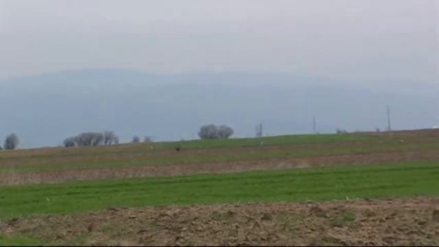 536. Serbia. (42) 11 ч. 53 мин. курцхаар смотреть онлайн