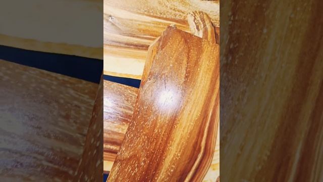 Мичуринская яблоня. Текстура. Michurinskaya apple tree. Texture. смотреть онлайн