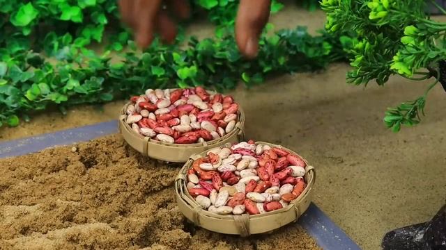 Diy mini tractor making modern agriculture plough machine for grape farming @sanocreator смотреть онлайн