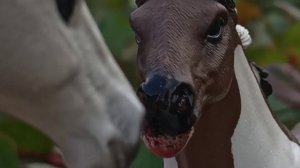 schleich сериал// Высокие цели/ ? серия/ЗАКЛЮЧЕНИЕ/ шляйх сериал //