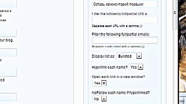Как установить виджет Топ комментаторы смотреть онлайн