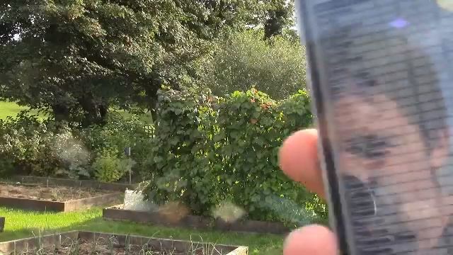 Brix Testing the Nutrient Quality of Homegrown Produce смотреть онлайн