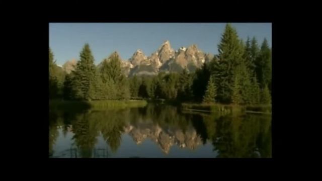 PILISHKIN. Шелковое....wmv смотреть онлайн