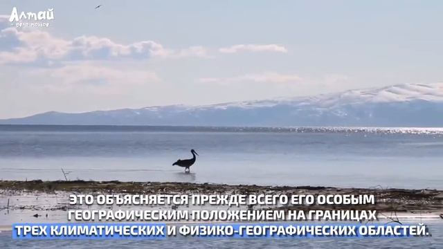ИНТЕРЕСНЫЕ ФАКТЫ О ВКО: Природа ВКО
