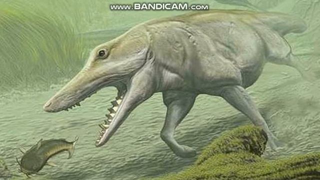 Pakicetus And Ambulocetus Sounds