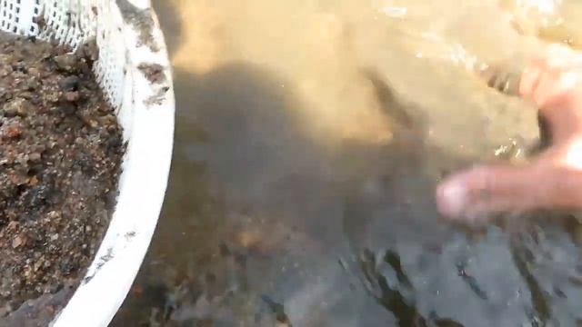 Олтин топиш сирлари смотреть онлайн