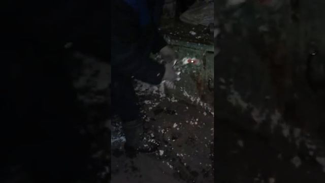 монтажная пена прикол смотреть онлайн