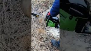 Бензопила procraft k450 отзыв