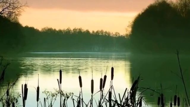 Утро у реки Лариса Кравец смотреть онлайн